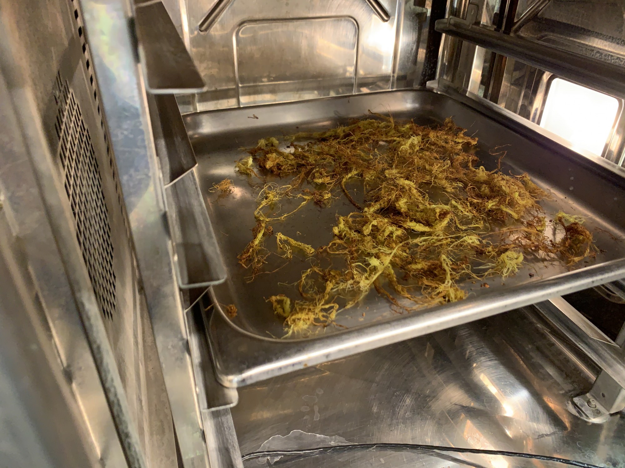 レシピ紹介 ヤングコーンのひげ茶 東野産婦人科